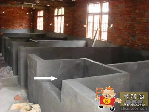 中型养猪场建设规模猪舍结构图母猪舍建造图纸