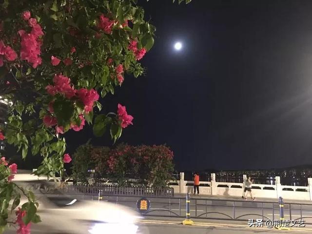 仰望月亮看到你