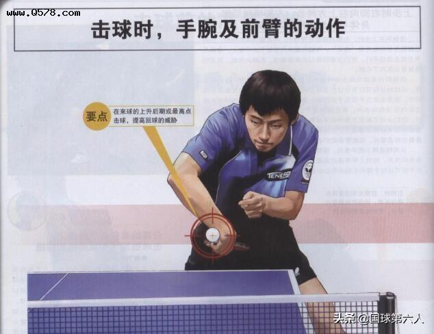 业余乒乓球爱好者有没有必要练反手拧拉,练的话基础功至少要有几年?