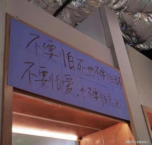 文案因为一句话喜欢一部小说