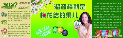 溜溜梅图片