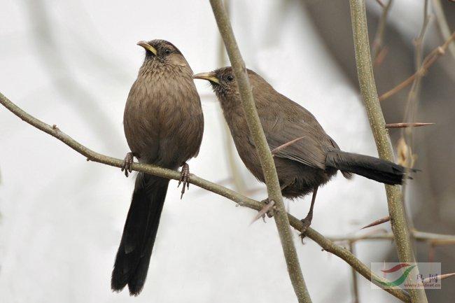 拍摄地点是甘肃兰州.