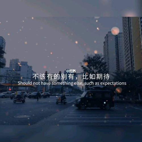 不该有的别有,比如期待……_失望_生活记录_日常片段
