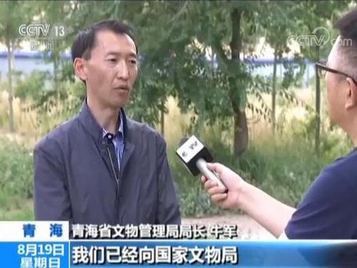 公安部指挥破获青海都兰特大盗墓案追缴被盗文物646件