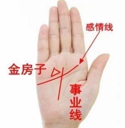 豪宅之纹手相,豪宅纹它在天纹线上面,手相学简称金房子.