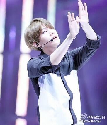 [exo][新闻]150723 边伯贤蝴蝶少女吸睛多多 pk力压众多单眼皮男神