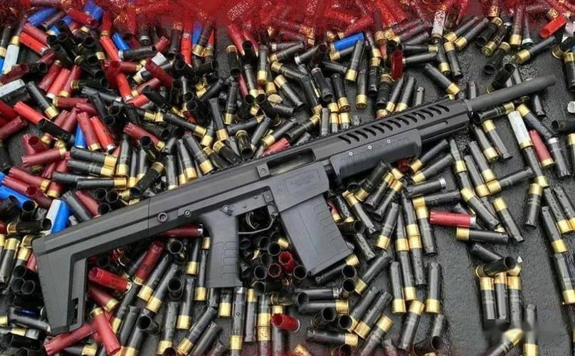 【又见黑水】sentry 12霰弹枪图集