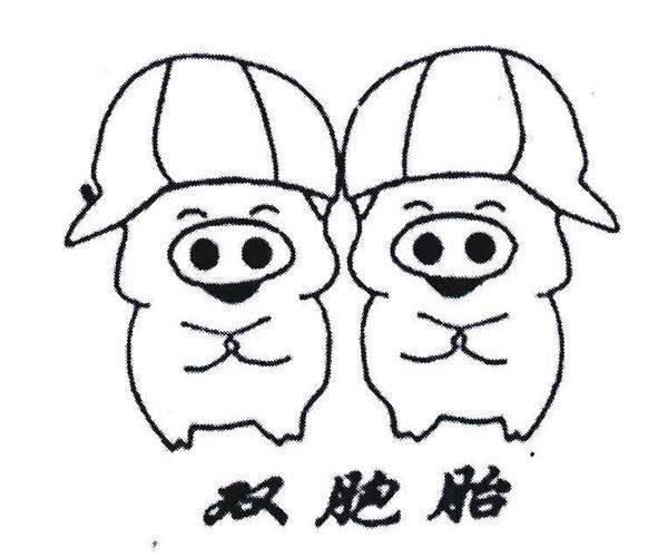 双胞胎 商标公告