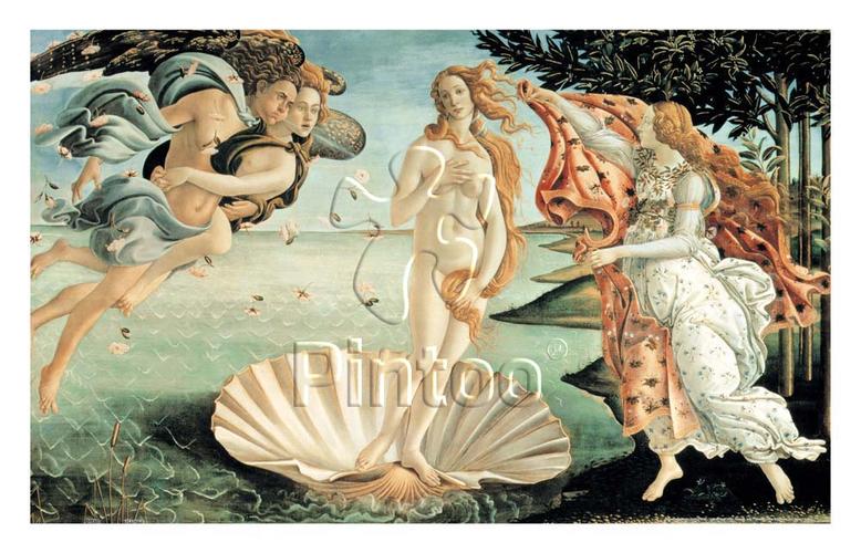 维纳斯诞生的基本介绍