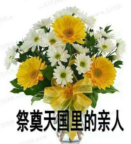 其它 清明节,缅怀父亲 我的亲人,我想你! 天堂的路黑不黑?