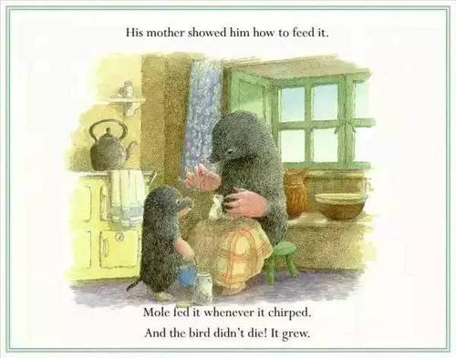 mole fed it whenever it chirped .