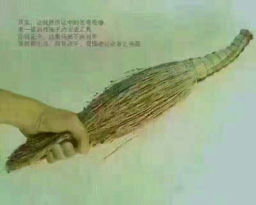 笤帚疙瘩