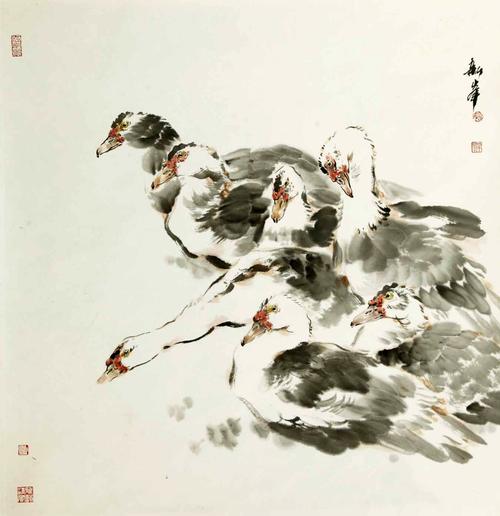 姚新峰