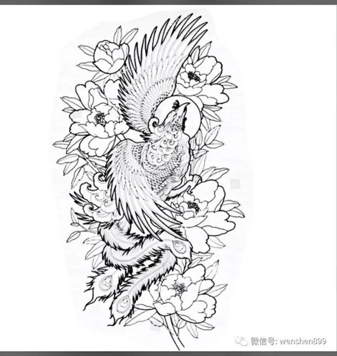 凤凰纹身手稿 纹身图案 凤凰纹身素材