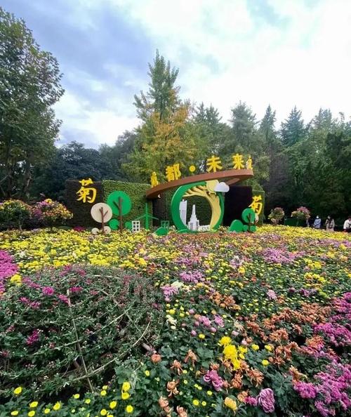 西南地区最大菊花展20万盆菊花800多个菊花品种就在成都