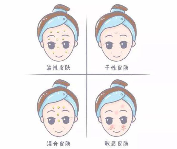 皮肤的类型一般分为五种,分别是:干性皮肤,油性皮肤,混合性皮肤,中性