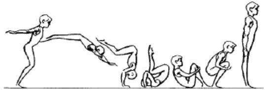 体育专项《鱼跃前滚翻》题本-备课纸 中小学教师资格考试面试备课纸 1