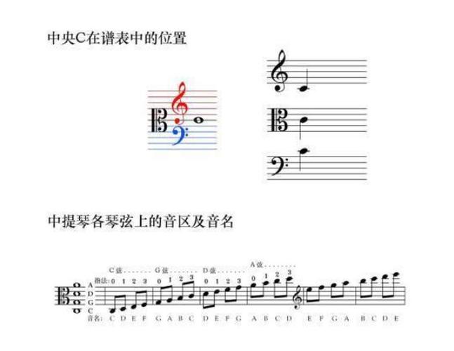 读谱分为两种: 小提琴转中提琴 从零开始学中提琴  小提琴四根空弦是