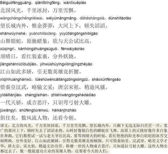 《沁园春雪》精心拼音版及译文
