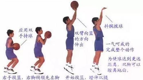 单手肩上投篮教案范文提前预习菜鸟必看