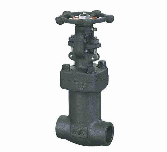 wj61h锻钢a105焊接波纹管截止阀 焊接波纹管截止阀dn15 dn20 dn50