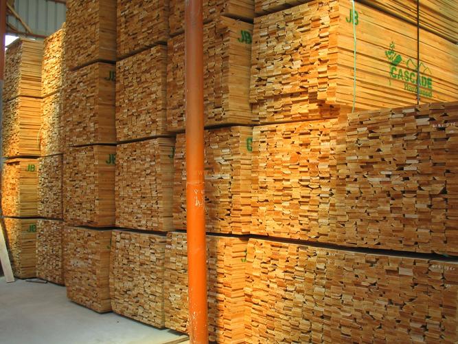 供应桤木-上海侨亚木业