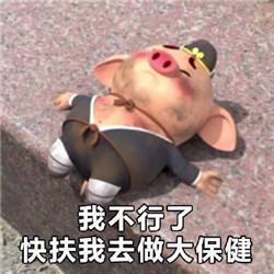 猪小屁可爱表情包社会你猪哥人萌话不多