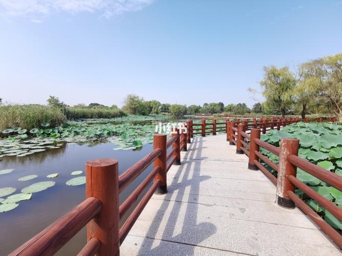 湖州龙之梦图影湿地公园20200926_景点_龙之梦_出行_人文风光展示