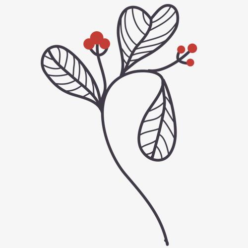 爱心形叶子简笔画