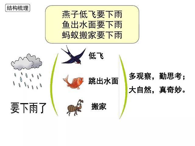 课文通过"鱼出水面,燕子低飞"这些自然现象说明下雨前动物的特点以及
