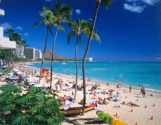 aloha hawaii!缤纷的彩虹之州夏威夷
