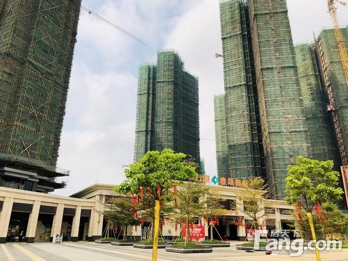 春季攻市之开年探市爬坡越坎砥砺前行雷州迎来城市发展新风口