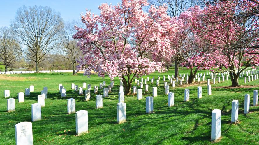 寂静的墓地图片(1/12)