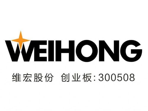 上海维宏电子科技股份有限公司