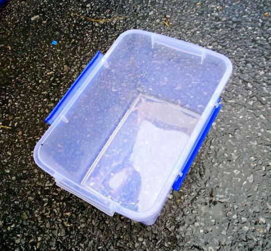 2018新款特大号超大容量塑料高透明蔬菜饭店酒店密封保鲜盒冰箱食