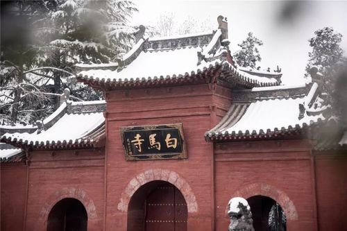 先后有100多位皇帝在此指点江山   去洛阳白天可以游览名胜古迹