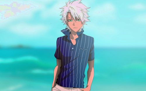 死神日番谷冬狮郎图片电脑好看的壁纸_[1440x900]尺寸分辨率