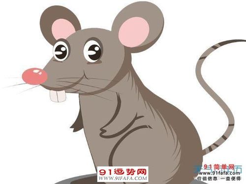 1948年属什么生肖 1948年出生的今年多大