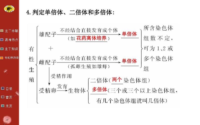 判定单倍体,二倍体和多倍体: 花药离体培养 单倍体 单倍体 两个