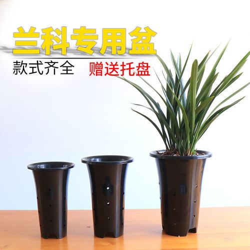 兰花专用盆加高加厚塑料兰花盆透明兰花盆批发透气盆