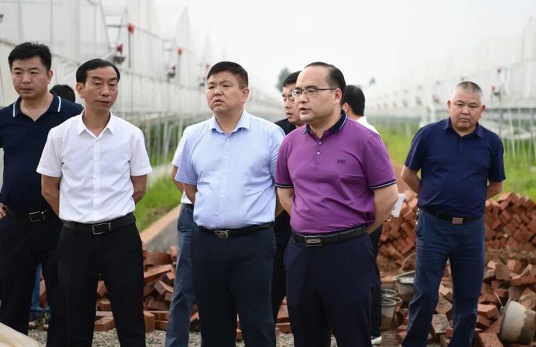 县委副书记,县长未小刚率团到于都,永丰考察学习蔬菜产业发展