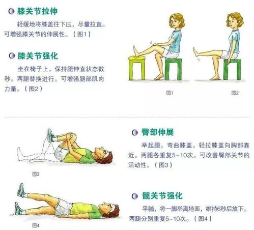 锻炼膝盖的方法图片 (第1页)