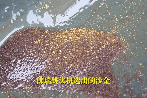 沙子中有金怎么选江阴查询