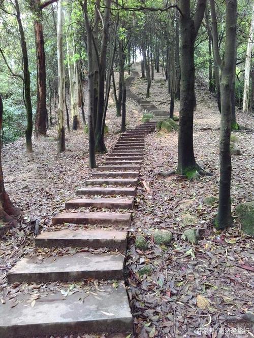 广州火炉山森林公园