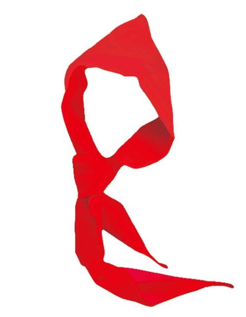 红领巾有力量—今天我加入少先队啦