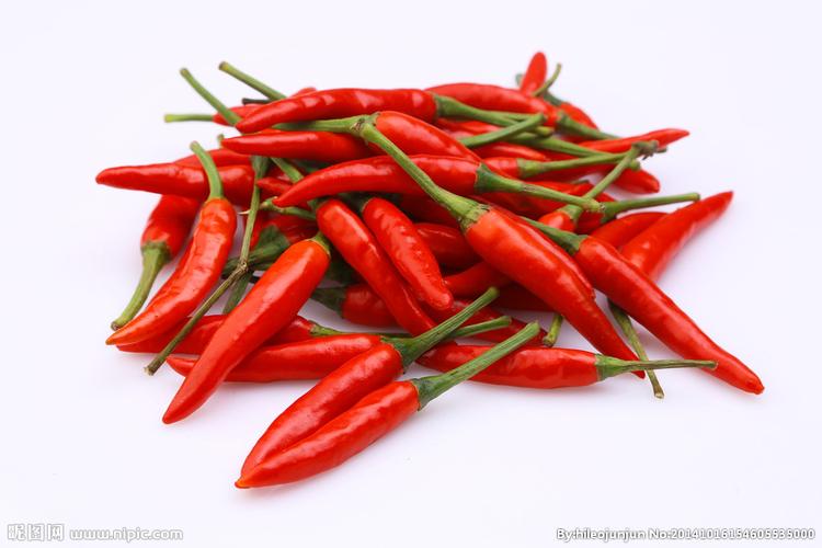 小辣椒图片
