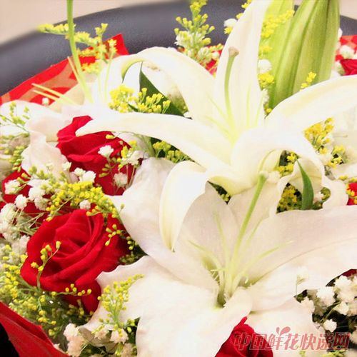 爱到永恒:11朵红玫瑰,2枝白色多头香水百合,黄英,满天