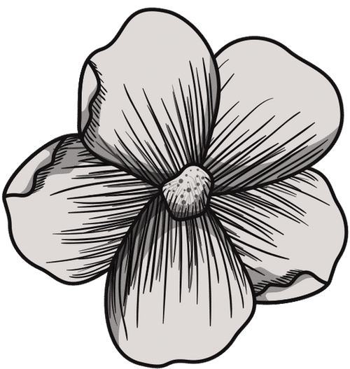 flower drawing - 素材 - canva可画