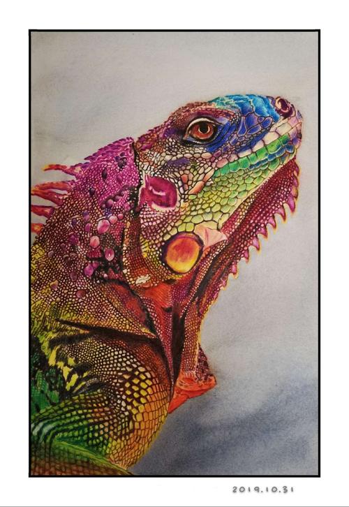 彩铅画～《蜥蜴》,过程艰难,画的都快疯了