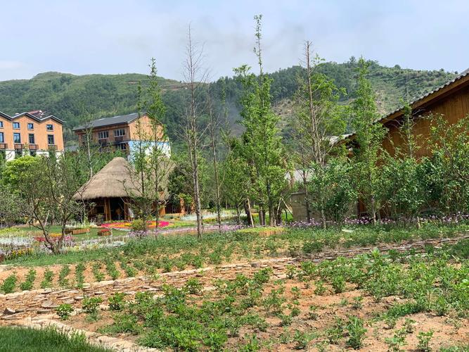 5.19.拍摄于大荆下山头村